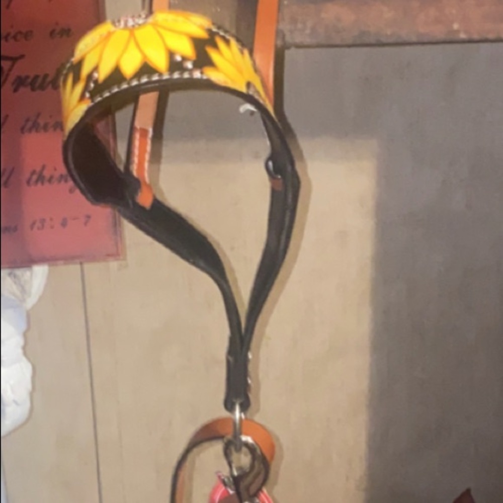 Sunflower tie down NEW MADE BY SHOWMAN!